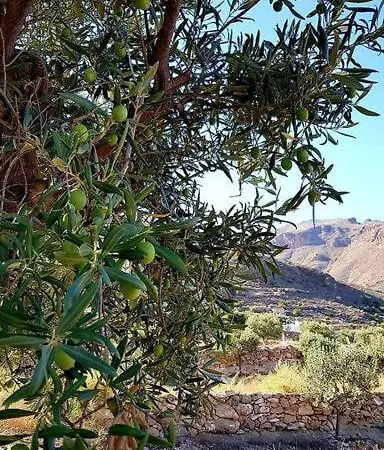 Holiday home Níjar: Authentic Andalusian Experience